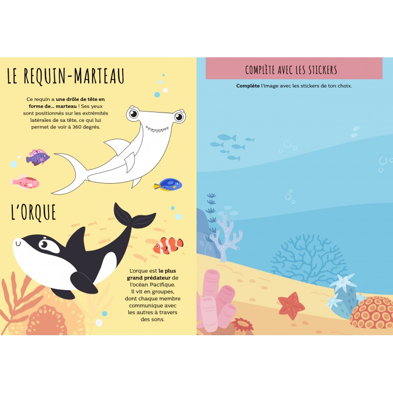 Sassi livres albums illustrés livres sonores touche a tout couleur formes animaux parents enfants cadeaux lecture repos le béguin de Charlie concept store tours