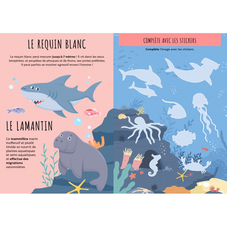 Sassi livres albums illustrés livres sonores touche a tout couleur formes animaux parents enfants cadeaux lecture repos le béguin de Charlie concept store tours