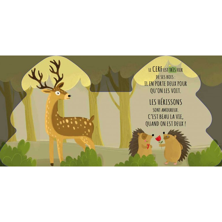 Sassi livres albums illustrés livres sonores touche a tout couleur formes animaux parents enfants cadeaux lecture repos le béguin de Charlie concept store tours
