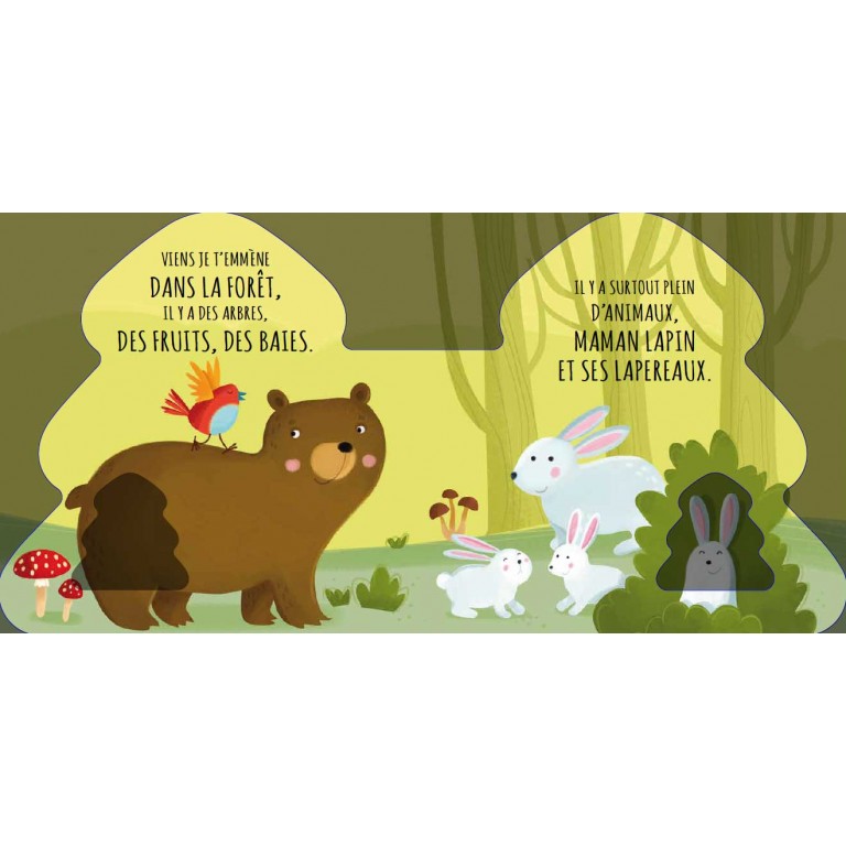Sassi livres albums illustrés livres sonores touche a tout couleur formes animaux parents enfants cadeaux lecture repos le béguin de Charlie concept store tours