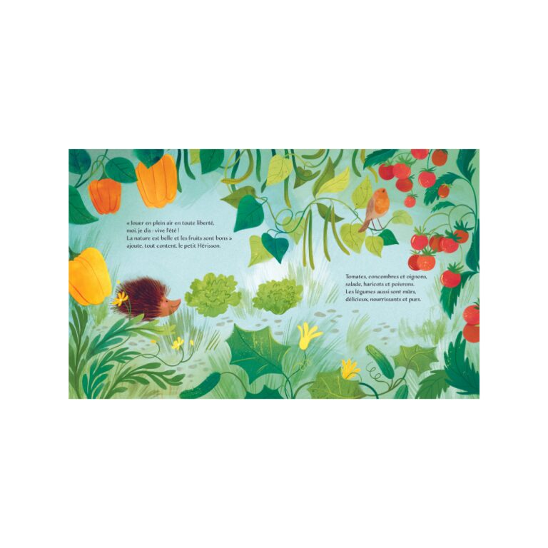livre album de jeunesse collection lire histoire histoires du soir cadeau livre musicaux dessin enfant bebe lecture parents naissance concept store kids enfant tours indre et loire vieux tours magasin centre le beguin de charlie commerce site internet été saison