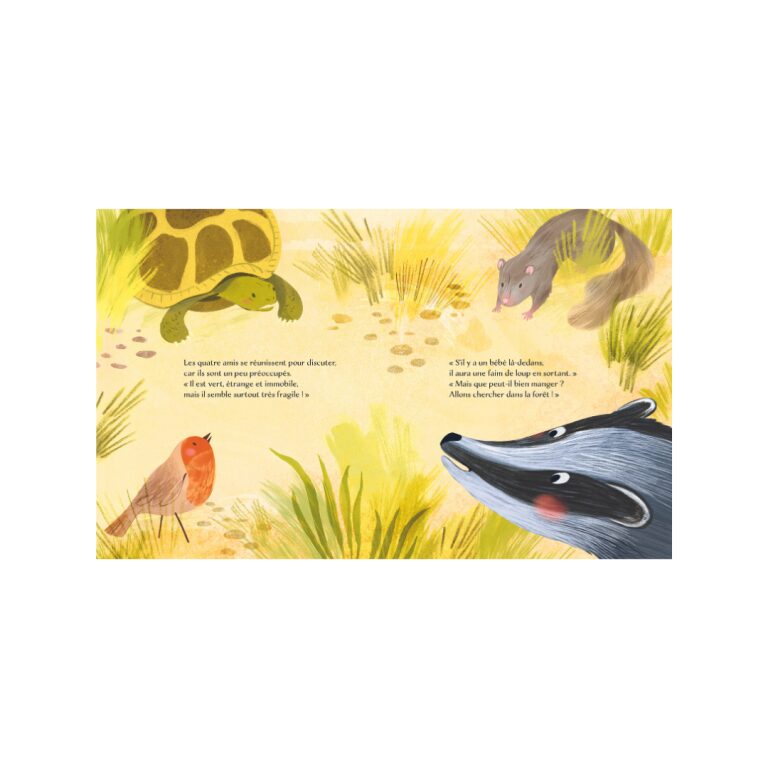 livre album de jeunesse collection lire histoire histoires du soir cadeau livre musicaux dessin enfant bebe lecture parents naissance concept store kids enfant tours indre et loire vieux tours magasin centre le beguin de charlie commerce site internet été saison