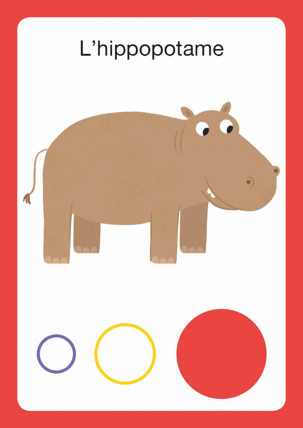 jeu de carte - bataille animaux du monde - jeu de société enfants et famille - de la marque Auzou - disponible en ligne et en boutique chez Le béguin de Charlie à Tours