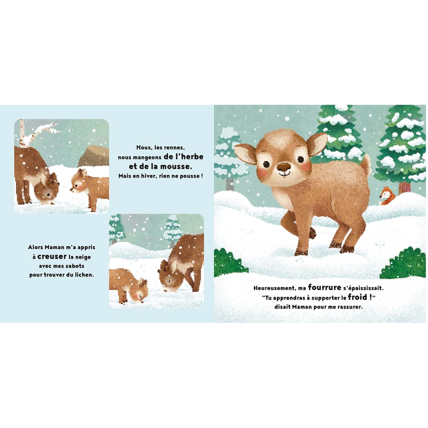 livre enfants "petit renne" - histoire et album de jeunesse sur le cycle de vie d'un renne - idée de cadeau de Noël - de la marque 1 2 3 soleil - disponible en ligne et en boutique chez Le béguin de Charlie à Tours